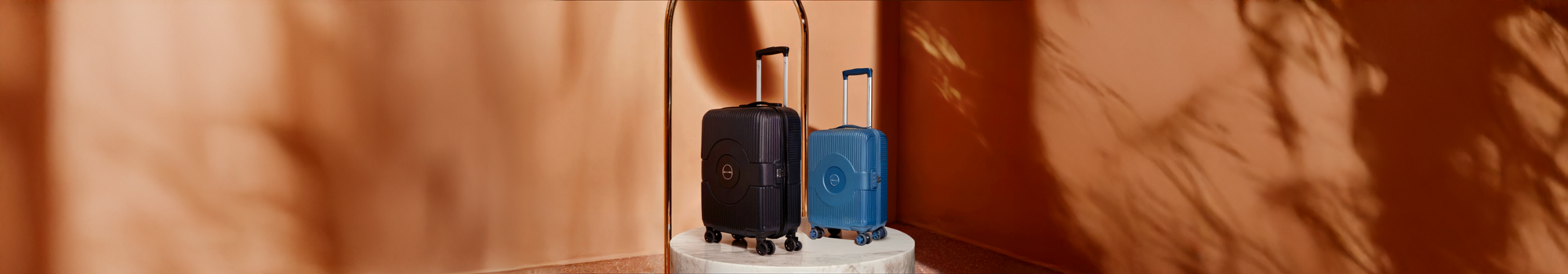 Luggage